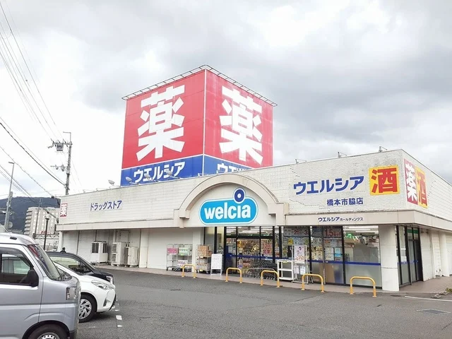 ウエルシア橋本脇店様まで1654m