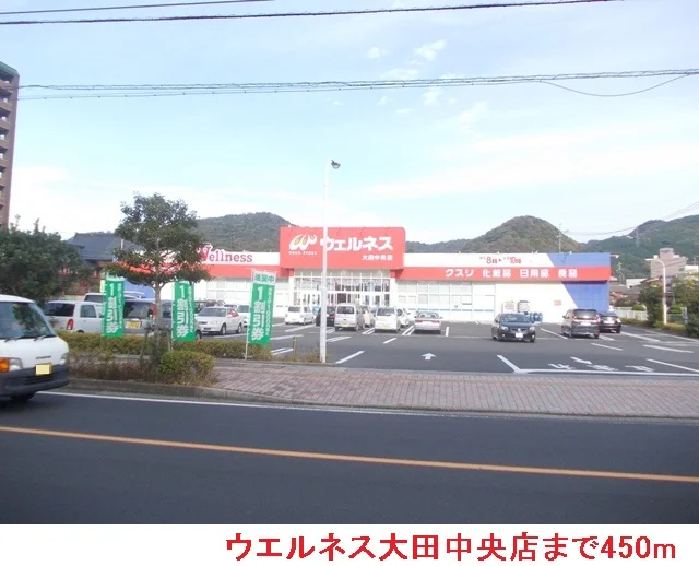 ウエルネス大田中央店まで450m
