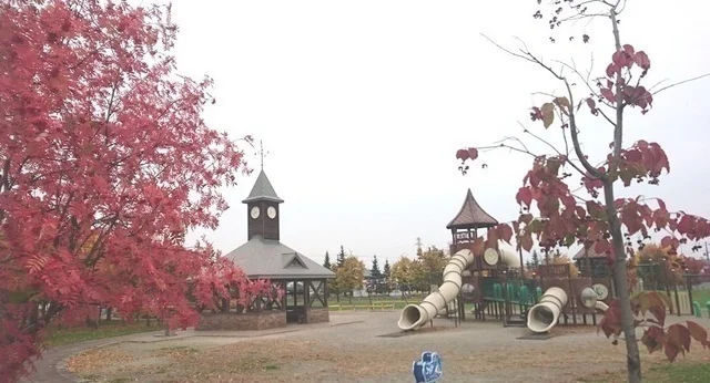 ひじり野公園まで140m