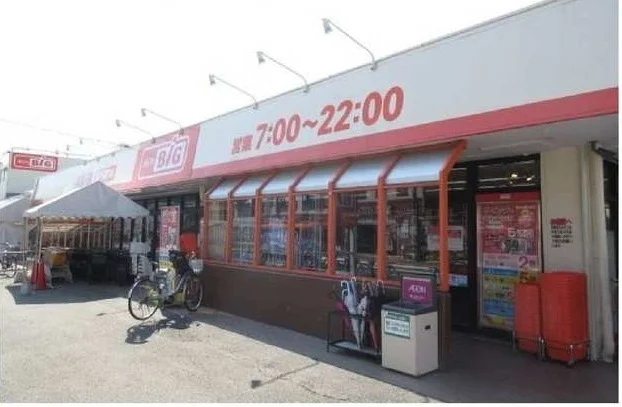 ザ・ビッグ相模原二本松店まで750m
