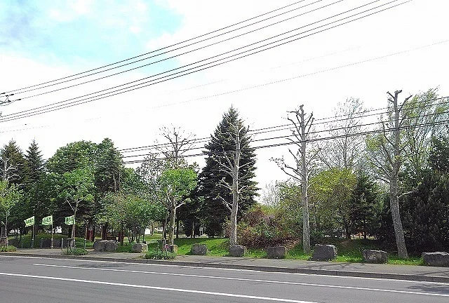 苗穂グリーン公園まで350m