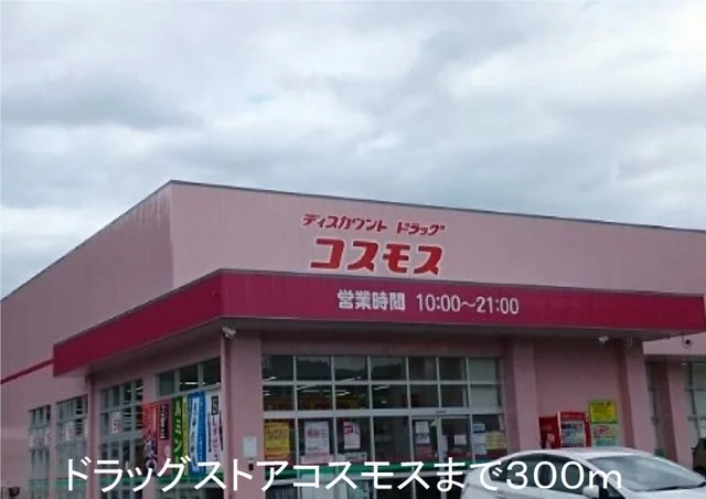 ドラッグストアコスモスまで300m
