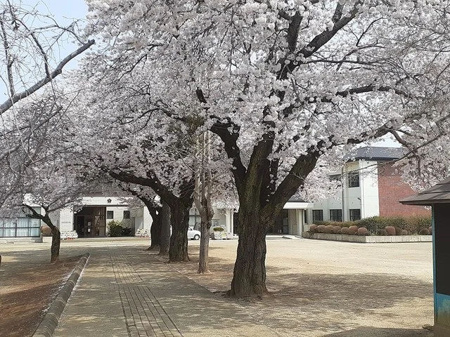 笠間市立笠間第一小学校まで805m