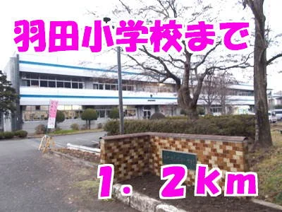 羽田小学校まで1200m