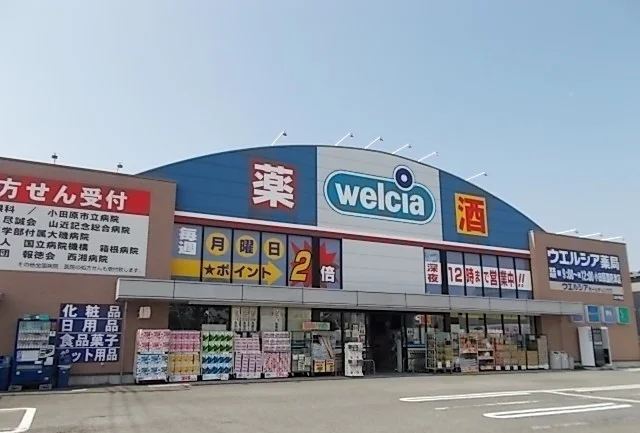 ウエルシア国府津店まで350m