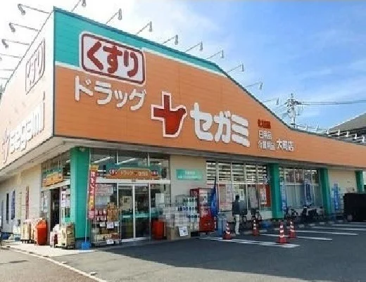 ドラゥグセガミ　大町店まで800m