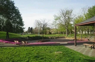 新琴似北公園まで190m