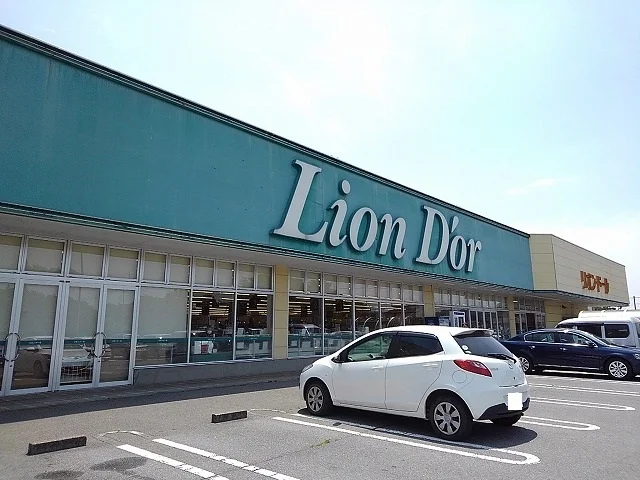 リオンドール小川店まで1300m