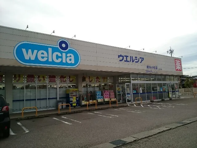 ウエルシア射水小杉店まで500m