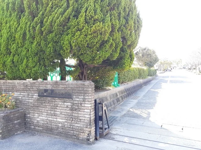 宮崎市立宮崎南小学校まで300m