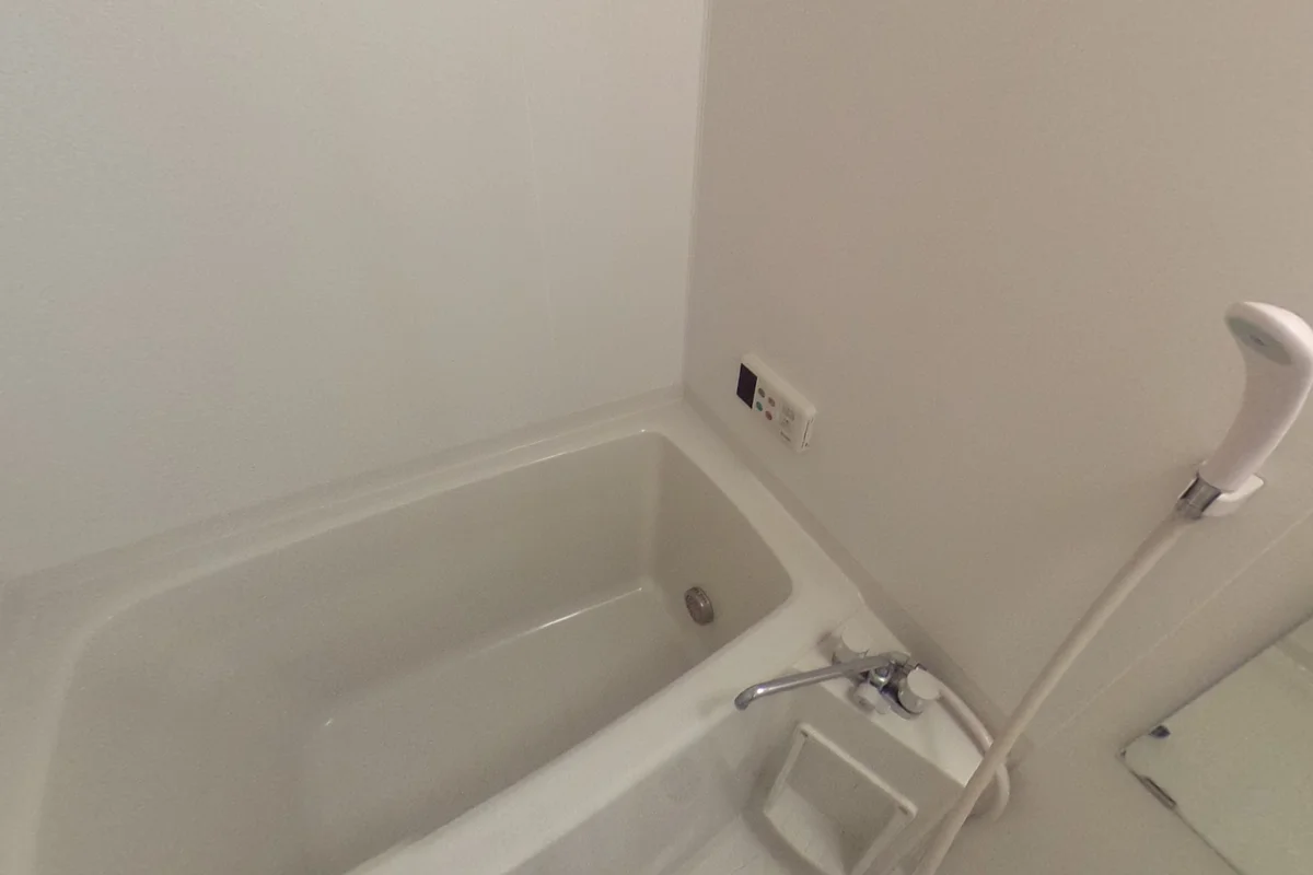 家具・家電設置前の画像になります（別号室）