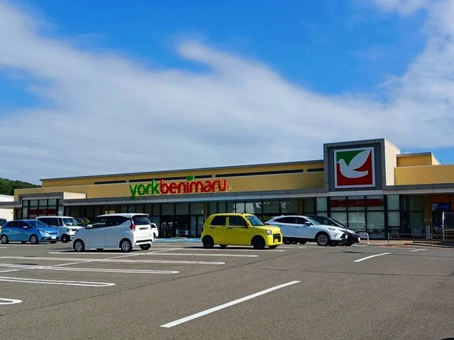 ヨークベニマル泉野村店まで450m