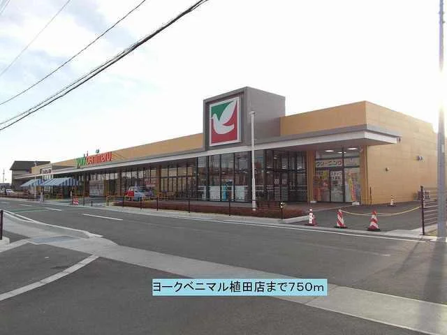ヨークベニマル植田店まで750m