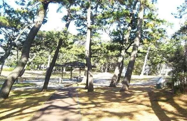 千本公園まで500m