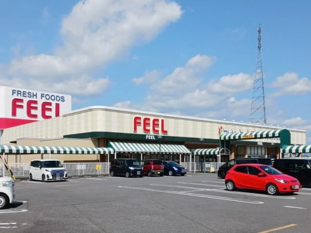 フィール岡崎大和店まで1100m