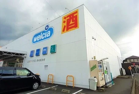 ウエルシア飯能緑町店まで300m