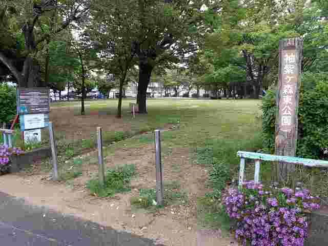 袖紫ヶ森東公園まで105m