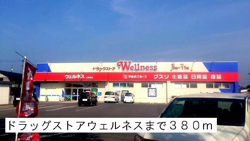 ドラッグストアウェルネスまで380m
