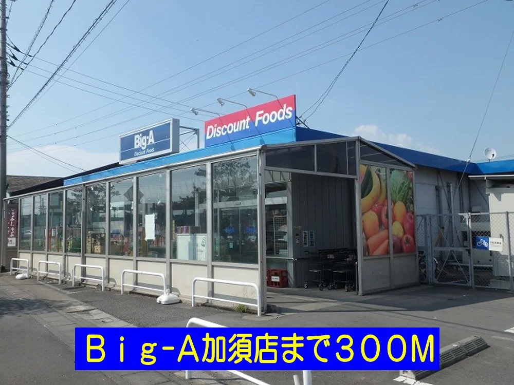 ビッグ・エー加須店まで300m