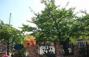 本成寺保育園まで1500m