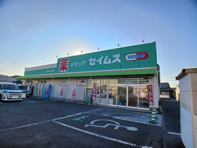 セイムス　坂ノ市店まで1300m