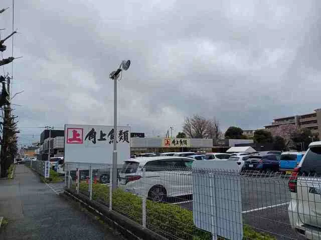 角上魚類まで260m