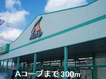 Ａコープまで300m