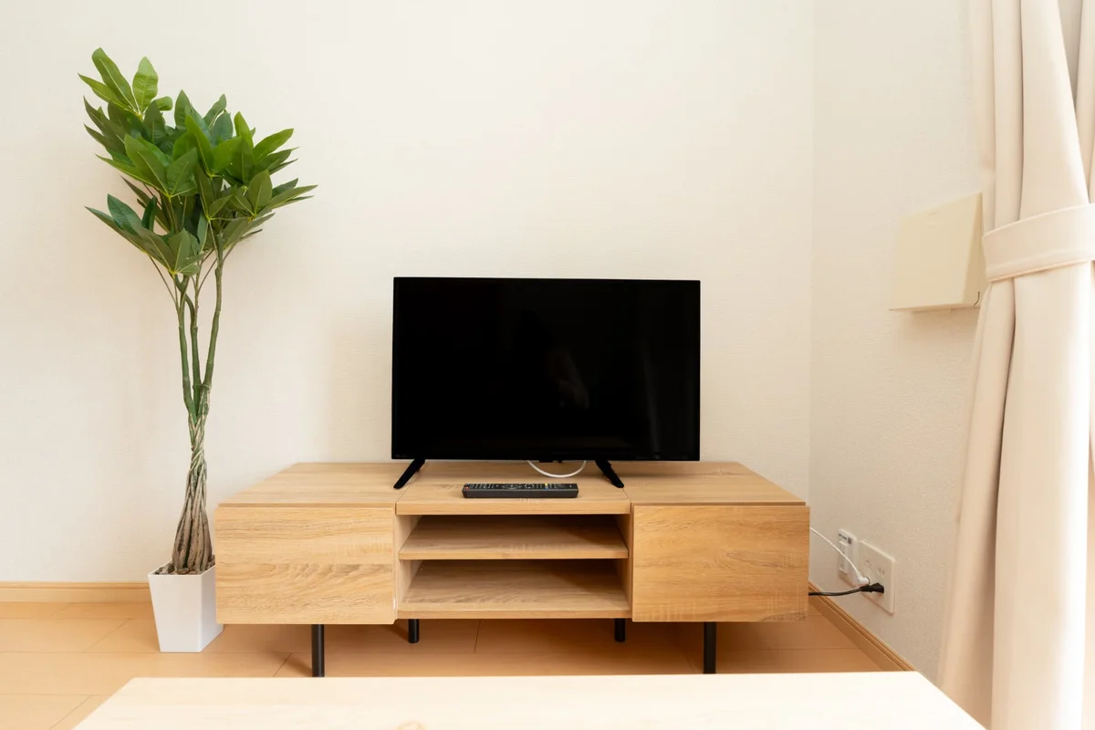 TV