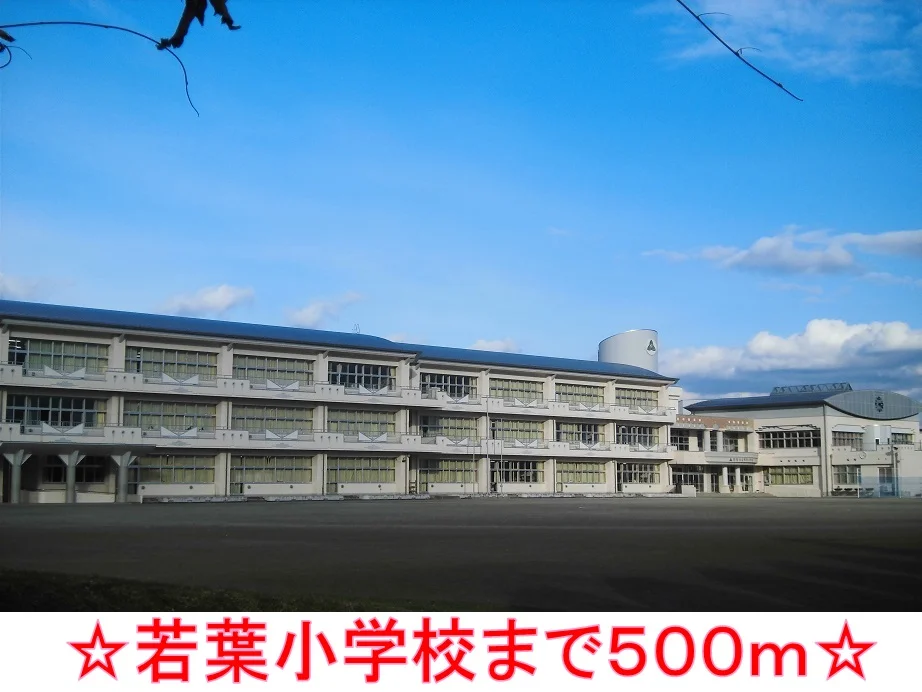 若葉小学校まで500m