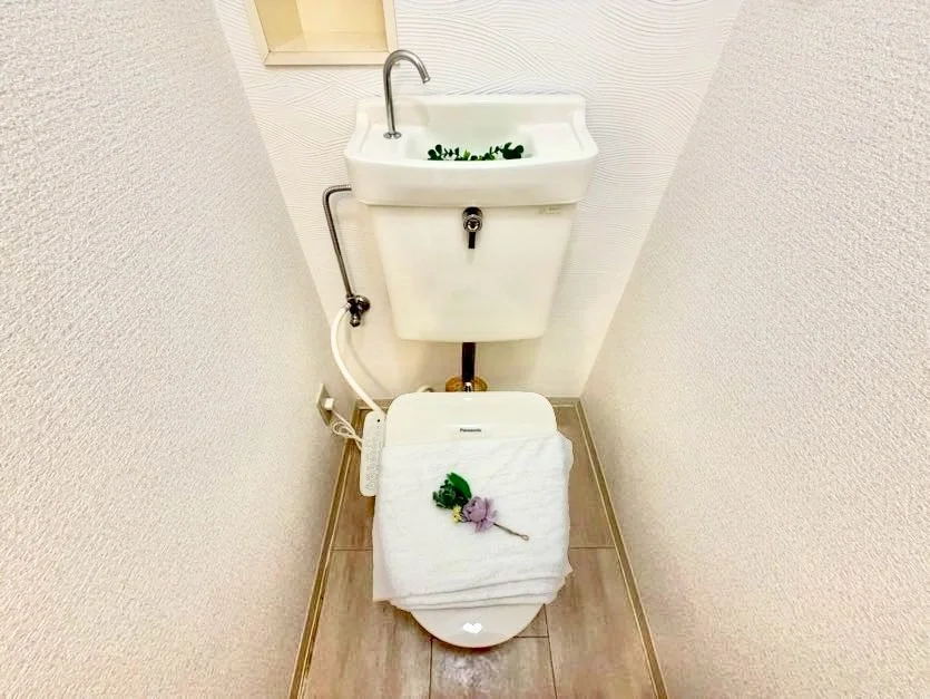※撮影用の観察植物・食器調理器具・雑貨類等はございません。※写真は現況優先