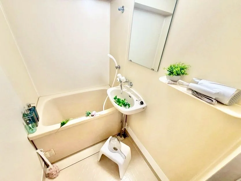 ※撮影用の観察植物・食器調理器具・雑貨類等はございません。※写真は現況優先