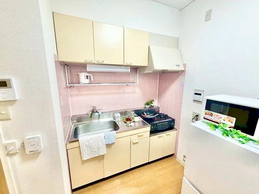 ※撮影用の観察植物・食器調理器具・雑貨類等はございません。※写真は現況優先