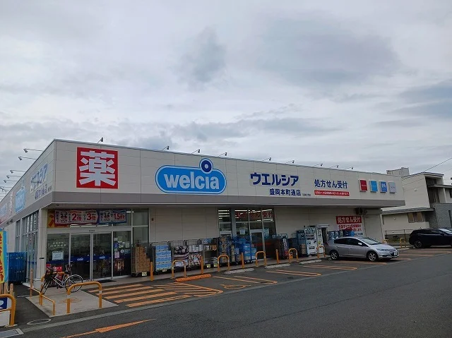 ウエルシア盛岡本町通り店まで650m