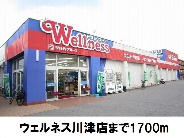 ウェルネス川津店まで1700m