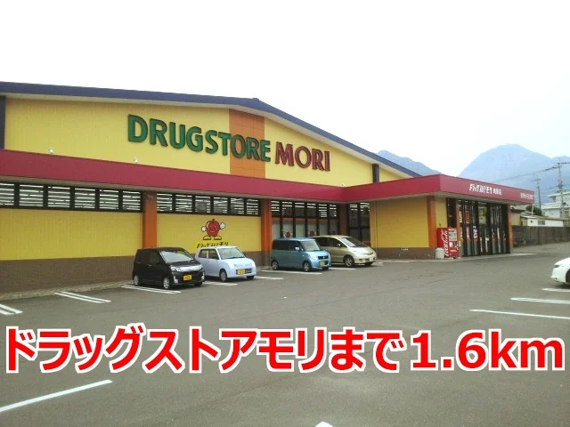 ドラッグストアモリまで1600m