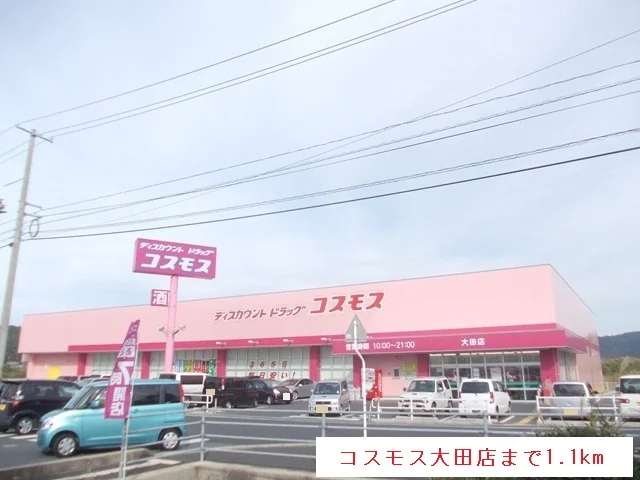 コスモス大田店まで1100m