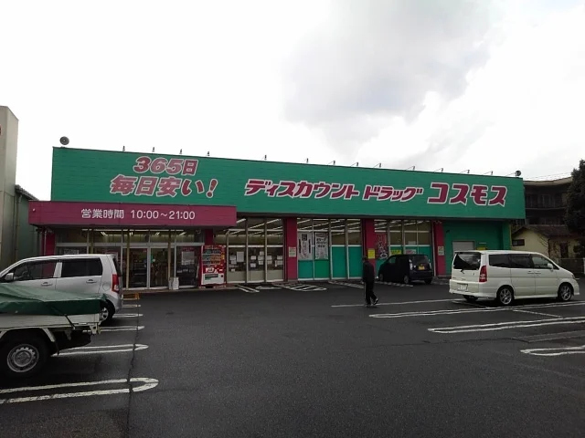 ドラッグコスモス日ノ出店まで600m