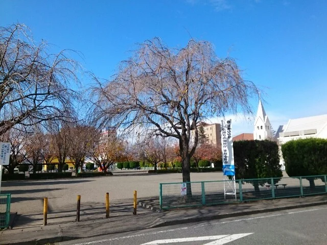 若宮公園まで250m