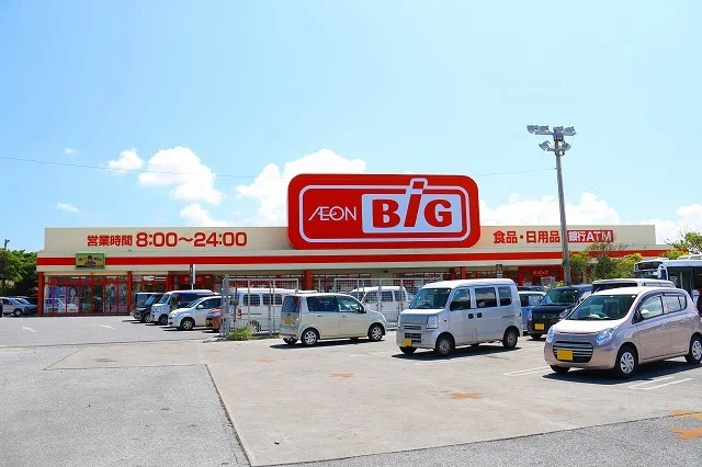 ザ・ビッグ田場店まで650m