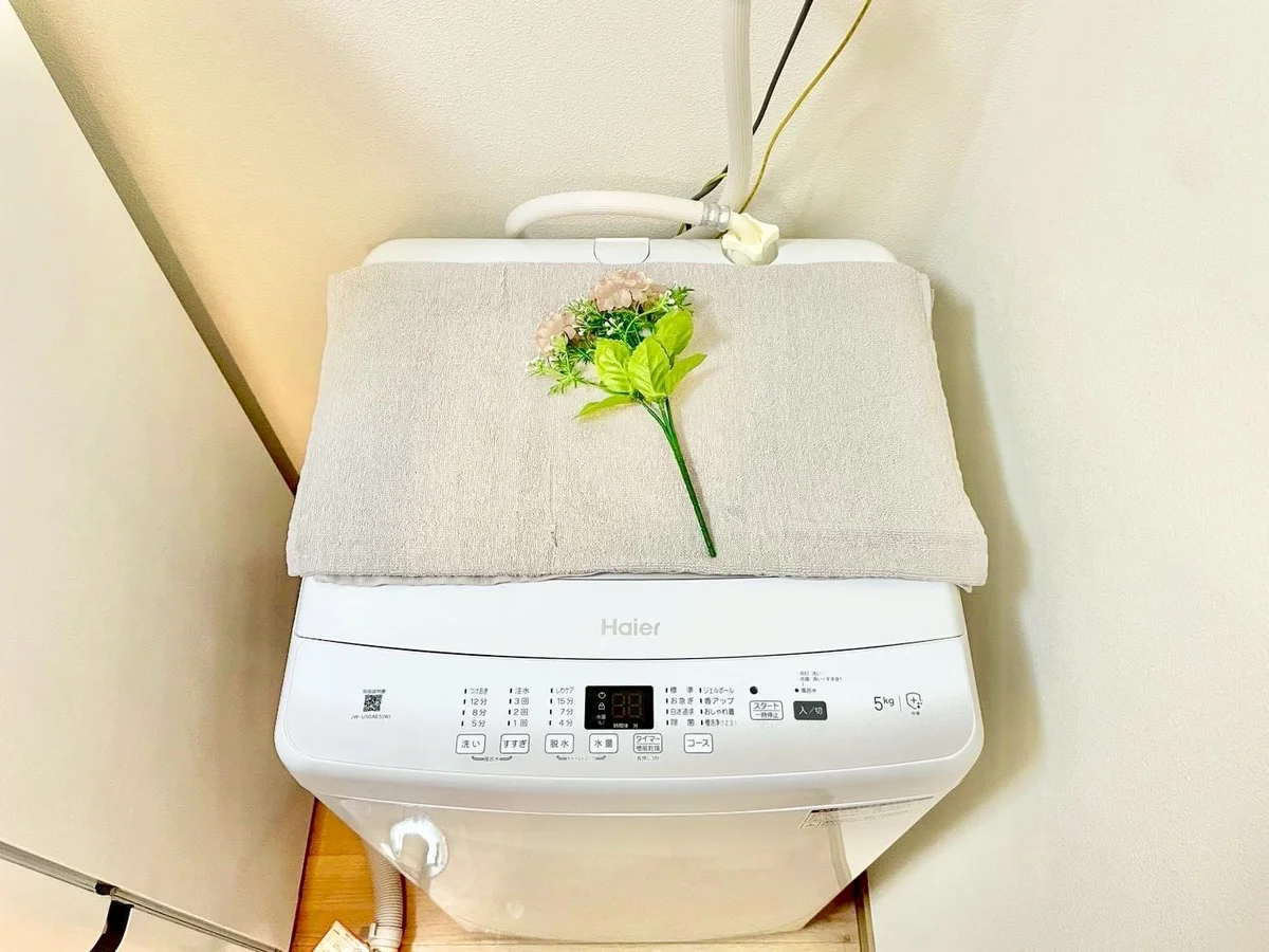 ※撮影用の観察植物・食器調理器具・雑貨類等はございません。※写真は現況優先