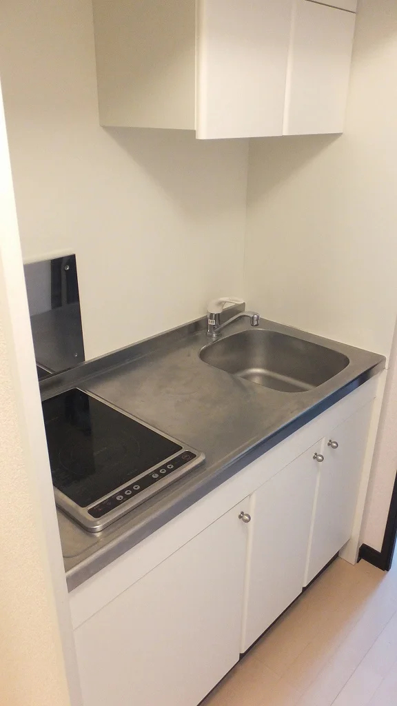 ２口ラジエントヒーター