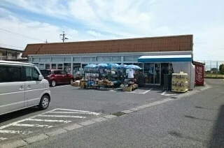 たつみストアーまで1000m