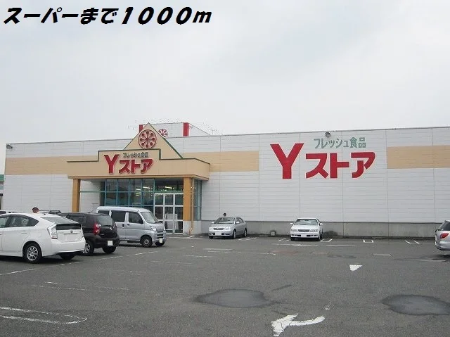 Ｙストアまで1000m