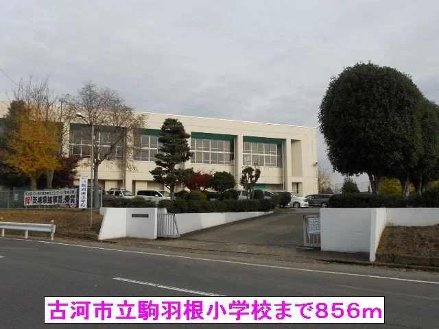 古河市立駒羽根小学校まで856m