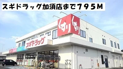 スギドラッグ加須店まで795m
