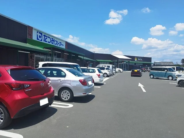 セリア・たつみストアーまで2500m