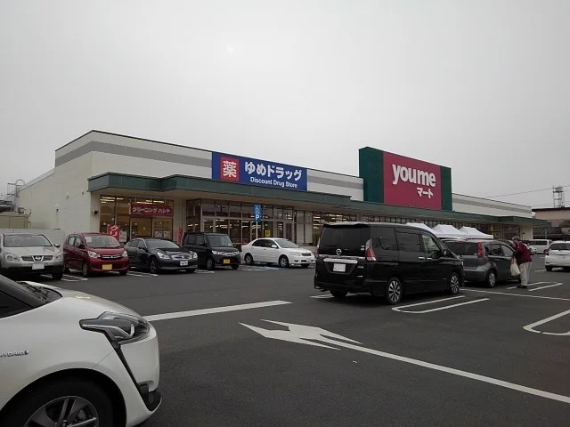 ゆめマート日田まで1250m