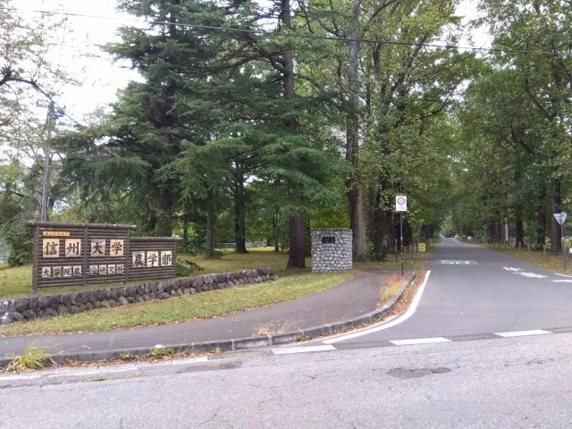 敷地入口までの距離です