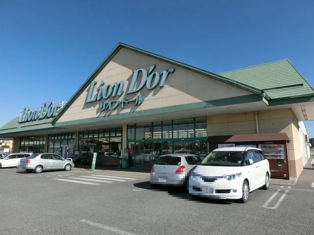 リオン・ドール高根沢東店まで510m