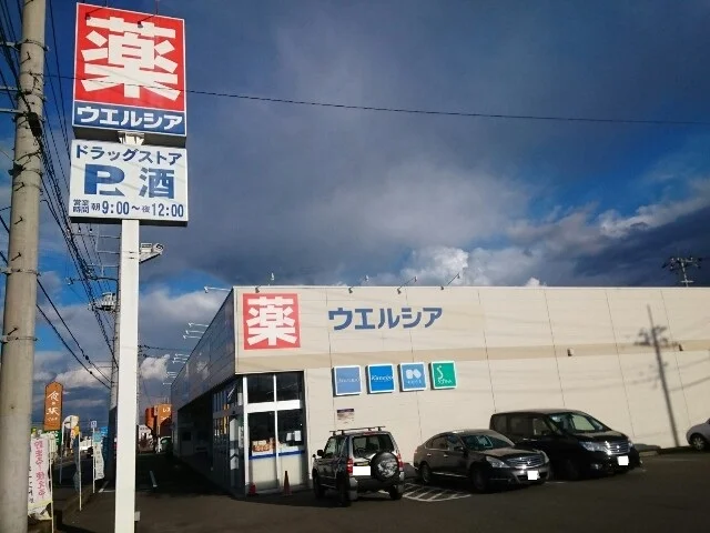 ウエルシア安中郷原店まで650m